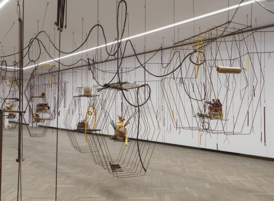 Instalacja z drutów, grzybów i innych elementów zawieszona w przestrzeni Galerii Arsenał. Wypełnia przestrzeń o białych ścianach