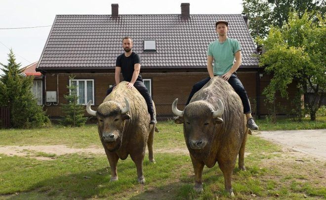 Wracając do&nbsp;Białowieży