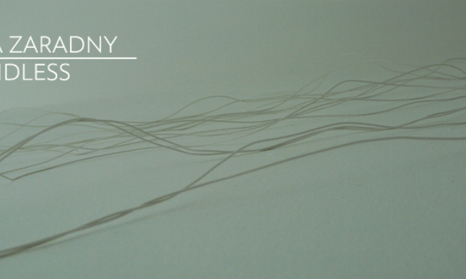 Anna Zaradny. SOUNDLESS