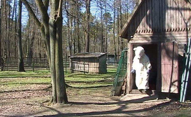Świadome zgody