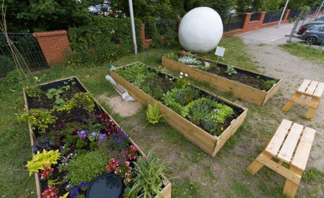 Plantacja fasoli – Warsztaty Rodzinne z&nbsp;Elżbietą Jabłońską