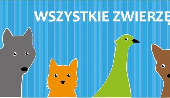 KATARZYNA SIEMIENIAKO – Warsztaty Rodzinne w&nbsp;Ośrodku dla Uchodźców