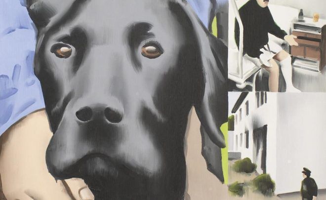 Pies bohater