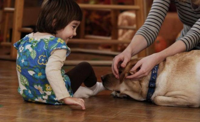 Dogoterapia, pies przewodnik, hipoterapia – spotkanie towarzyszące wystawie