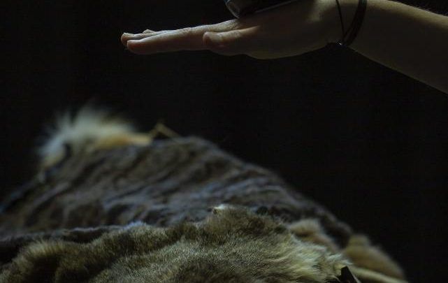 Oprowadzanie kuratorsko-autorskie po&nbsp;wystawie „Liminal – stan przejściowy”