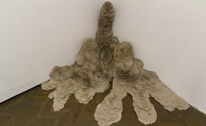 PAWEŁ MATYSZEWSKI – Gatunek