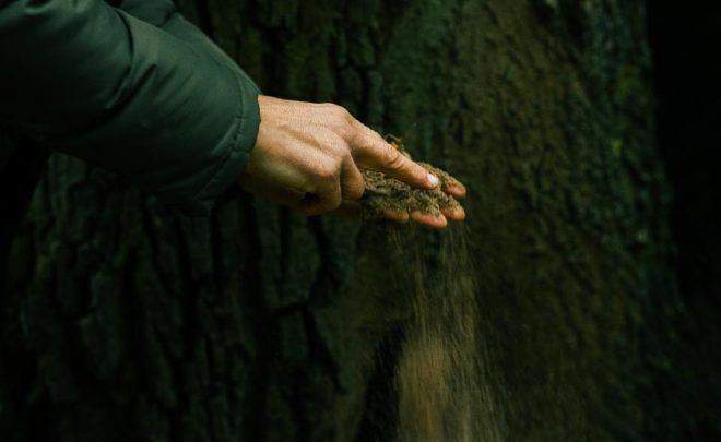 Interspecies Community. Neighbourhood of Nature in&nbsp;Białystok – two lectures – Paweł Łuksza & Centrala collective