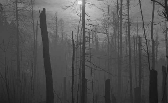 MICHAŁ JELIŃSKI – EVERYTHING THAT BREATHES