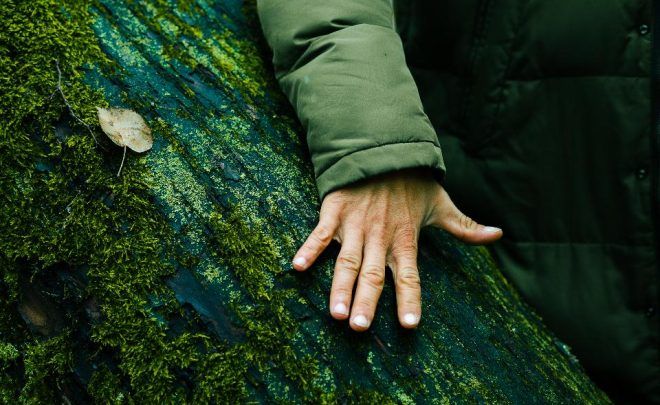 Interspecies Community. Neighbourhood of Nature in&nbsp;Białystok – a&nbsp;walk with Ryszard Ziemblicki