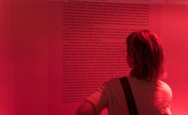 Oprowadzanie w języku angielskim po wystawie „Maybe We Can Have Fun Together”