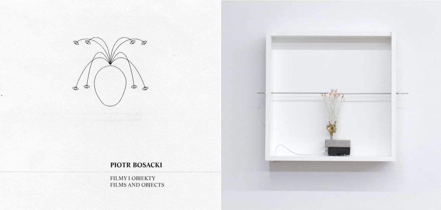Piotr Bosacki. Filmy i&nbsp;obiekty