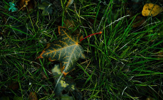 Tutejszy spis natur. Spacer śladami traseologii białostockich z Markiem Krajewskim, Bogną Świątkowską i zespołem Wydziału Socjologii Uniwersytetu w Białymstoku
