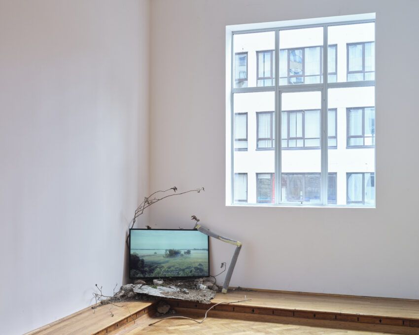 telewizor z projekcją wideo w okół którego ustawione są gałęzie, ziemia i kamienie