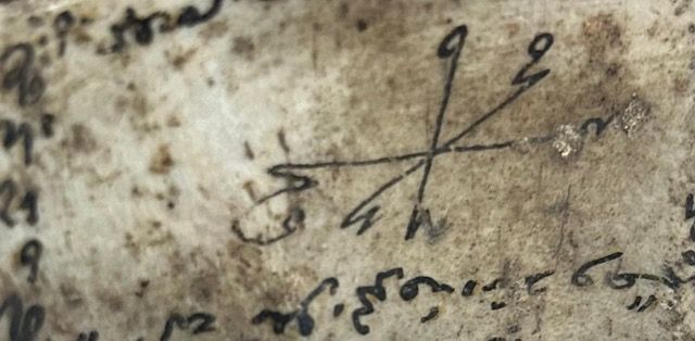WYKŁAD PERFORMATYWNY | Ewa Tatar. Słońce najlepszym antyseptykiem, a&nbsp;różnorodność nawozem
