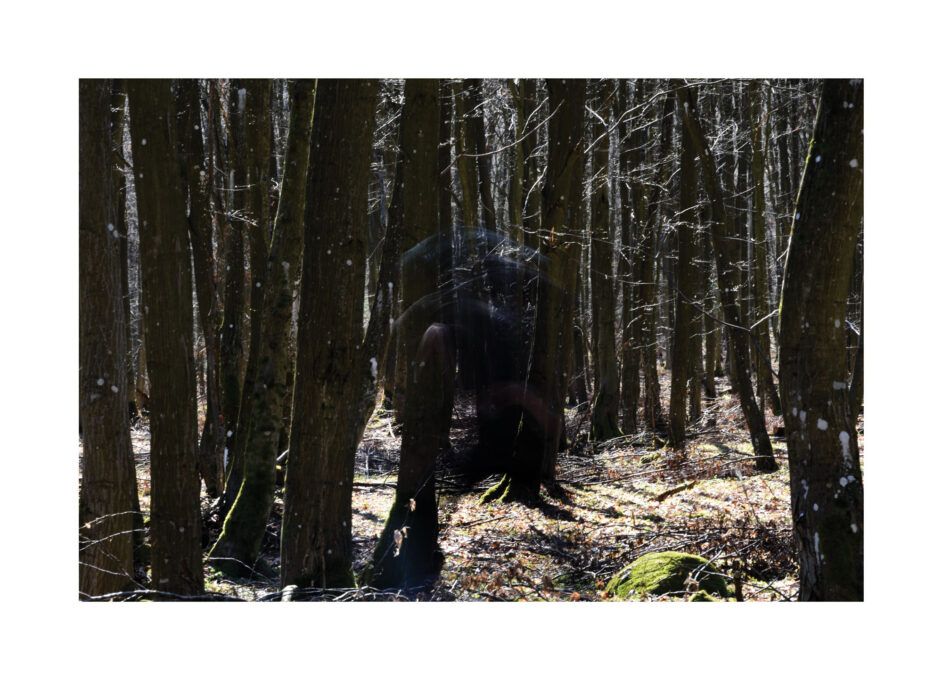 Gęsty las w słoneczny dzień. Pomiędzy drzewami, w centralnej części fotografii, widoczna jest ciemna, półprzezroczysta sylwetka postaci.
